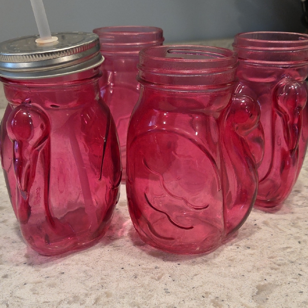 Pink Flaminogo Glass Mason Jar Tumblers - Set of 4